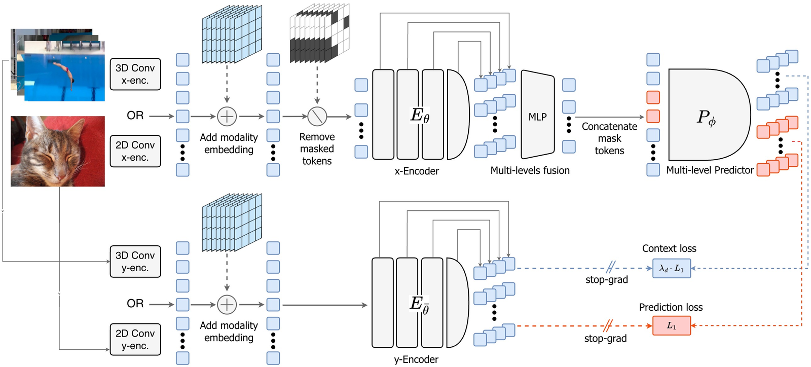 Figure 4: V-JEPA 2.1 architecture. Input images/videos are tokenized by modality-specific convolutions, augmented with 3D RoPE and modality embeddings. The x-encoder processes visible tokens and outputs multi-level embeddings (intermediate block outputs concatenated along channel dim). An MLP fuses these into a unified representation, which is combined with learnable mask tokens and fed to the predictor. The predictor produces multi-level predictions, and dual losses are applied: L1 on masked tokens and distance-weighted L1 on context tokens, both at all four encoder levels.